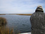 IMG_1790