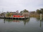 IMG_1796