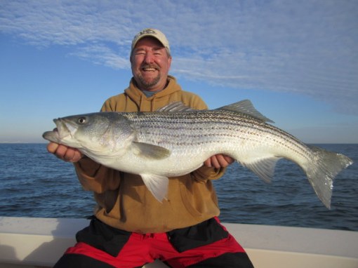 Ron Long hefts the last fish to come into my boat in 2012 - His 41-inch trophy striper