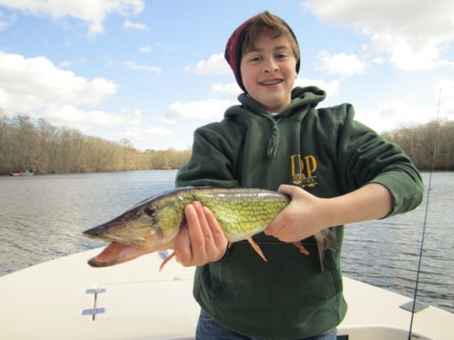 Connor Portner has his hands full with this fiesty 24-inch pickerel. Nice catch young man!