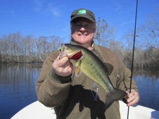 Scott ups the ante with this nice bass