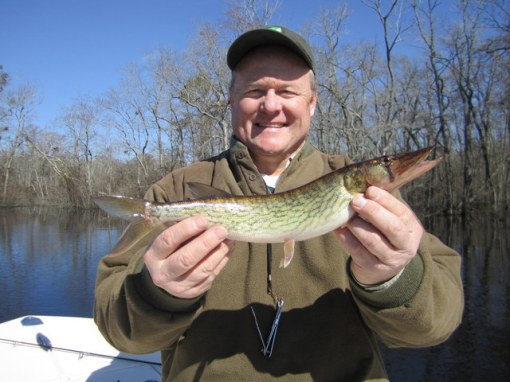 Scott with a pickerel of his own