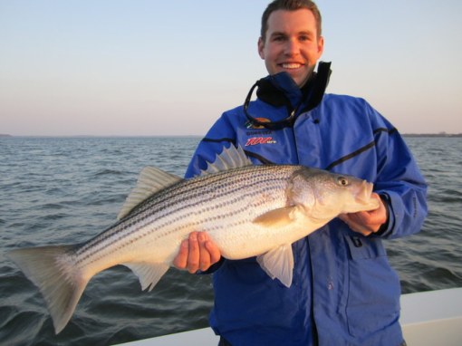 Rock were eating the gelcoat off the hull tonight